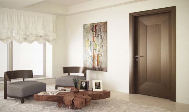 mid-century modern interior doors