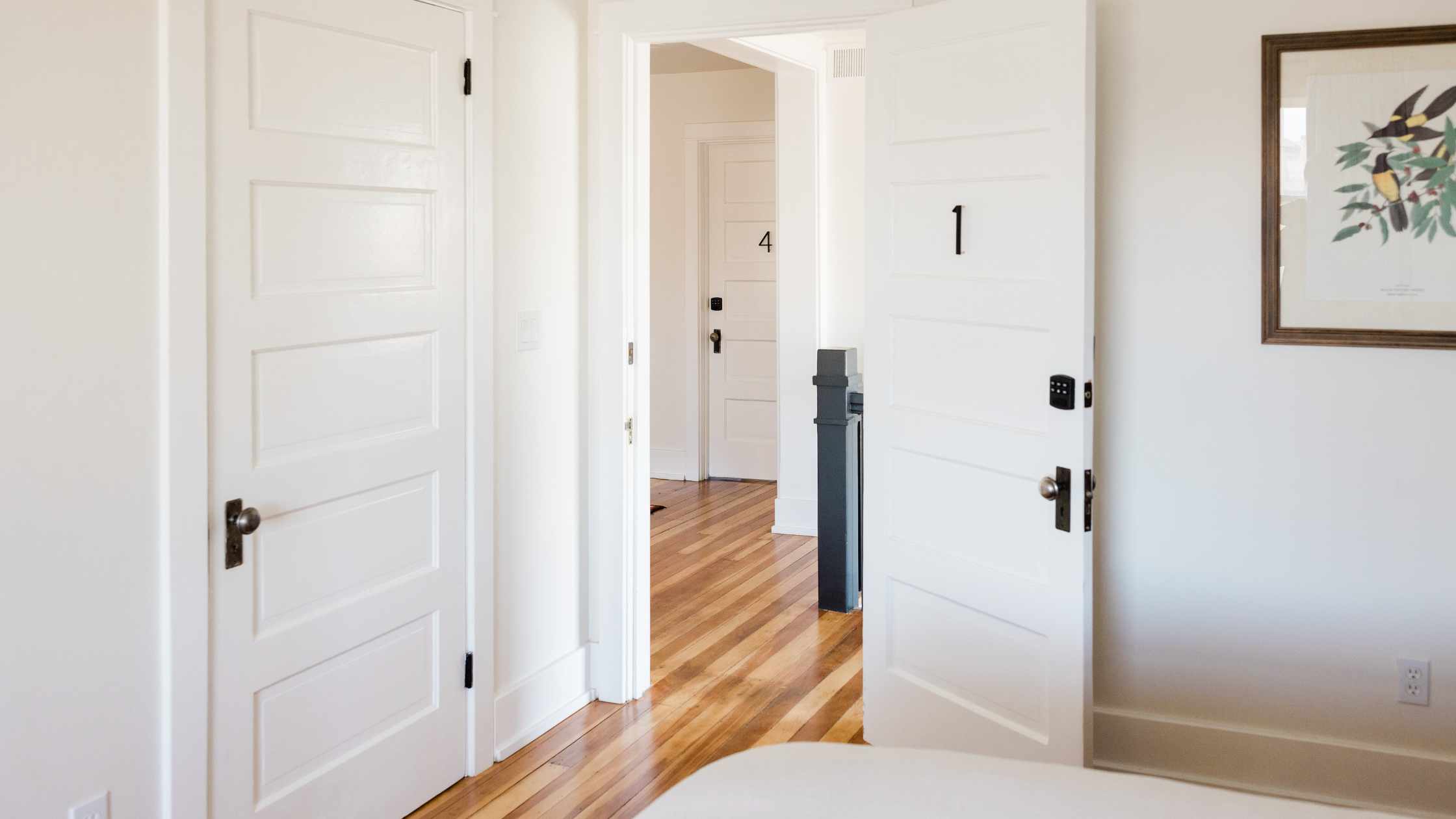 Door Fire Rating – All you need to know
